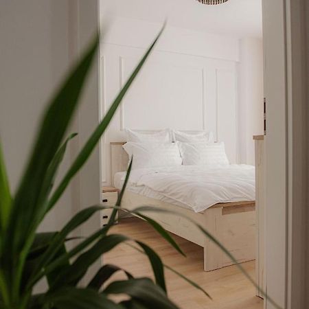 Modern Apartment In Тимишоара Экстерьер фото