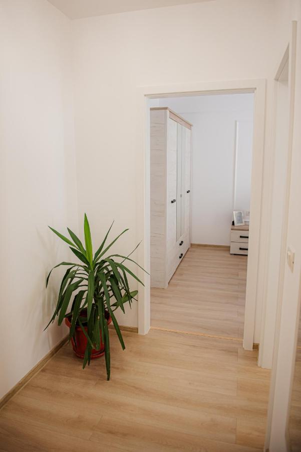 Modern Apartment In Тимишоара Экстерьер фото